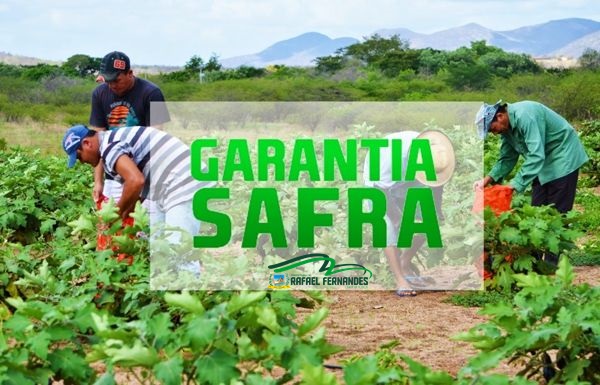 GARANTIA SAFRA IRÁ BENEFICIAR 119 AGRICULTORES EM RAFAEL FERNANDES